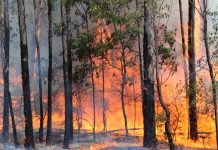 Federal Government’s Disaster Ready Fund in action