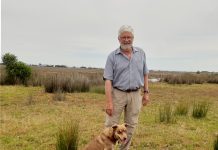 Seacombe resort dream edges closer