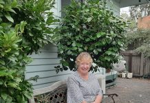 Heyfield explores microgrid option