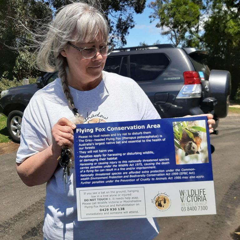 Respect our bat populations