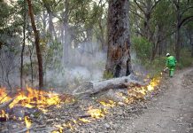 Planned burning is underway