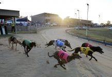 Smith double at Warragul dogs