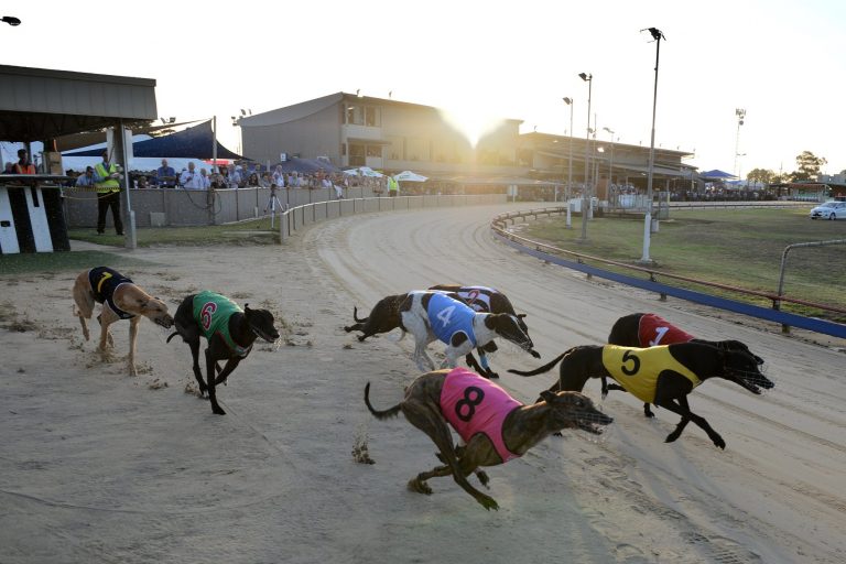 Smith double at Warragul dogs