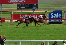 Sale Quality this Sunday