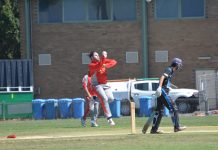 Season down to final four