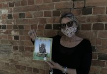 The story about the koala who is afraid of heights