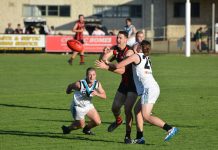 Eagles over-Powered at home