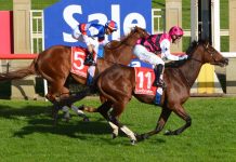 Doubles at Sale for Eurell, Thornton and Stackhouse