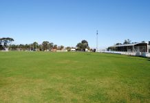 Stratford in the spotlight