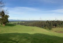 Next steps for proposed Delburn Wind Farm