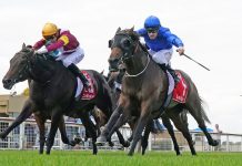 Sale double for Zahra