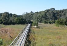 Vandals attack Sale Common