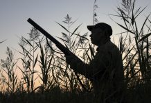 Tourism a better option than duck hunting