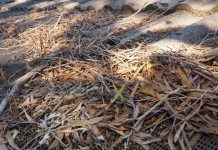 Melburnians can visit to clean up their Wellington Shire properties