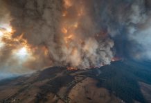 Bushfire Royal Commission is pronounced an ‘utter failure’