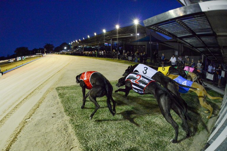 Sale Distance Championship this Sunday