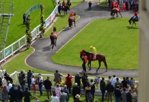 Getting home safely from the races