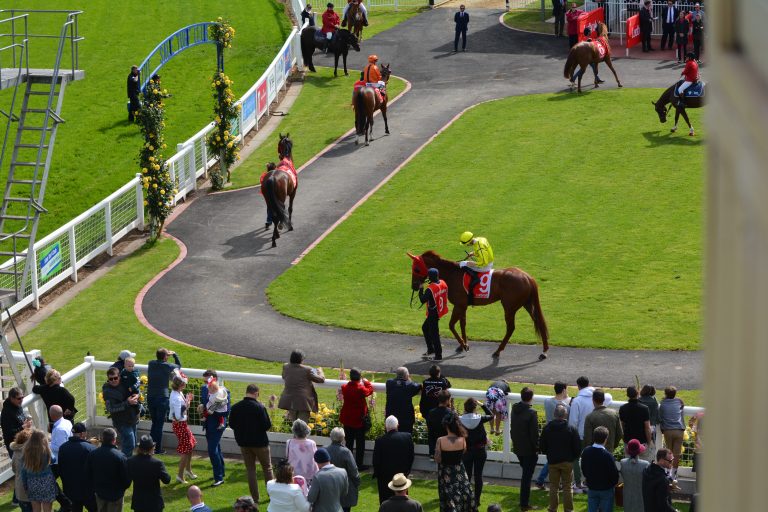 Owners returning to the track