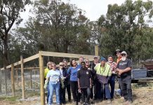 Volunteers step up for roos