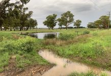Promises of rain may not eventuate locally
