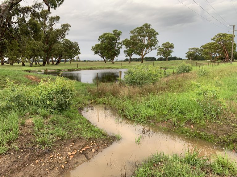 Promises of rain may not eventuate locally