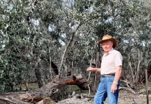 Bush block ‘fire risk’