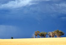 Bureau says La Nina influence should persist into autumn