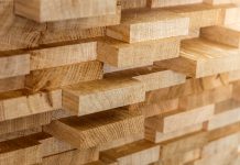 Certification for all forests needed, experts argue