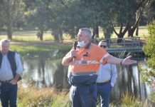 Timber info requests are denied