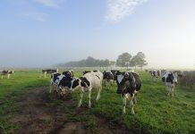 Flood package for farmers now open