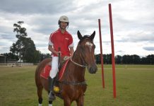 Carnival of polocrosse this weekend