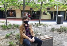 Three people left with eye injuries after bird attacks