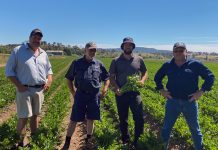 Quarantine rules ploughing harvest hopes