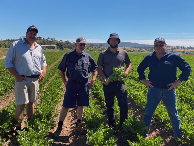 Quarantine rules ploughing harvest hopes