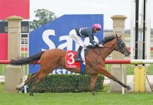 Keeping Open Minded and winning