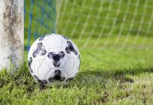 Falcons soar over Swans