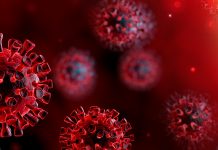 Zero COVID cases detected on Thursday in Victoria