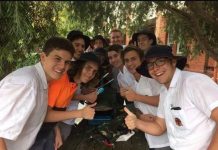 Growing mullets for mental health