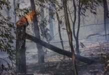 More attention must be paid to fire mitigation