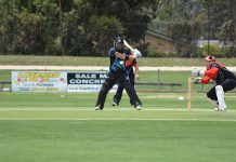 Cricket COVID guidelines
