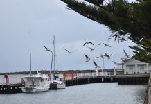 Maffra, Port Albert street schemes get the nod