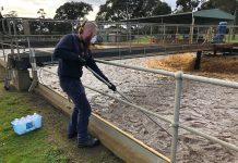 Local sewage is tested for traces of COVID-19