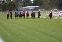 Christmas races at Greenwattle this Sunday