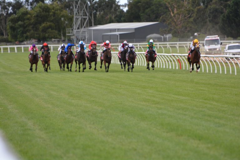 Christmas races at Greenwattle this Sunday