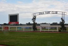 Wet weather racing at Greenwattle