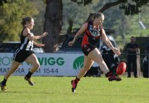 Festival of female footy
