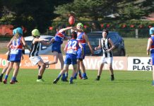 More local sport to return