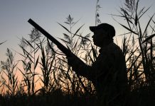 Illegal hunting did not take place at Morass