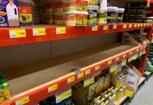 Traps sell out as mouse population increases