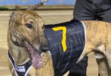 Harper’s at home in Horizon